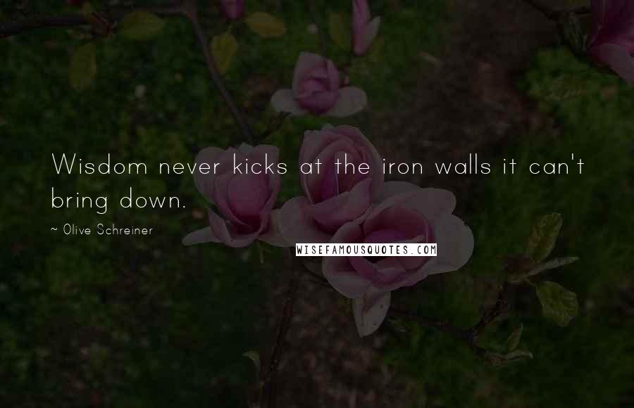 Olive Schreiner Quotes: Wisdom never kicks at the iron walls it can't bring down.