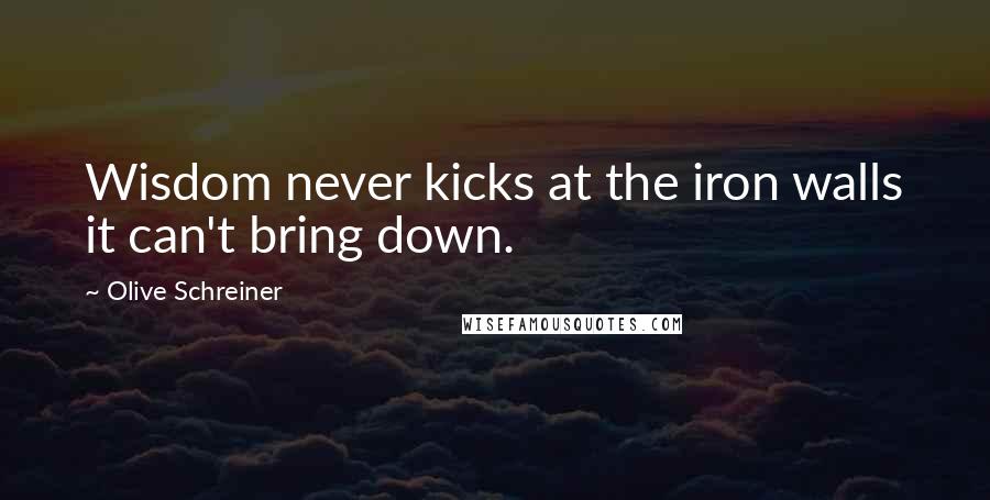 Olive Schreiner Quotes: Wisdom never kicks at the iron walls it can't bring down.