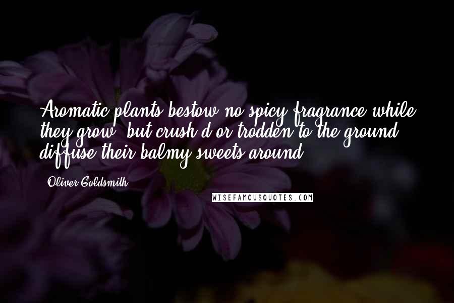 Oliver Goldsmith Quotes: Aromatic plants bestow no spicy fragrance while they grow; but crush'd or trodden to the ground, diffuse their balmy sweets around.