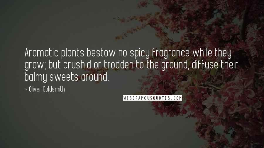 Oliver Goldsmith Quotes: Aromatic plants bestow no spicy fragrance while they grow; but crush'd or trodden to the ground, diffuse their balmy sweets around.