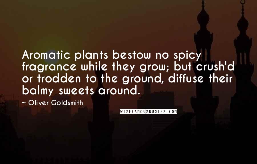 Oliver Goldsmith Quotes: Aromatic plants bestow no spicy fragrance while they grow; but crush'd or trodden to the ground, diffuse their balmy sweets around.
