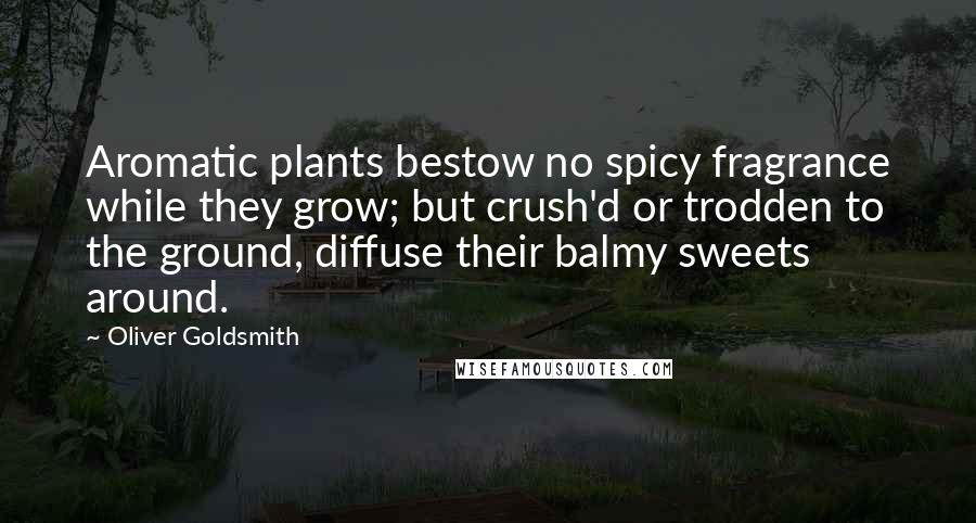 Oliver Goldsmith Quotes: Aromatic plants bestow no spicy fragrance while they grow; but crush'd or trodden to the ground, diffuse their balmy sweets around.