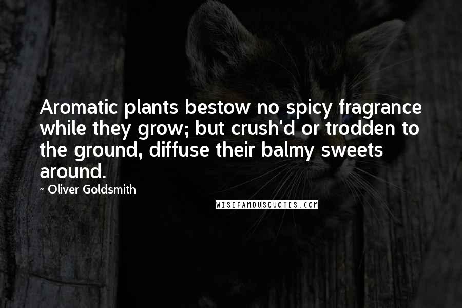 Oliver Goldsmith Quotes: Aromatic plants bestow no spicy fragrance while they grow; but crush'd or trodden to the ground, diffuse their balmy sweets around.