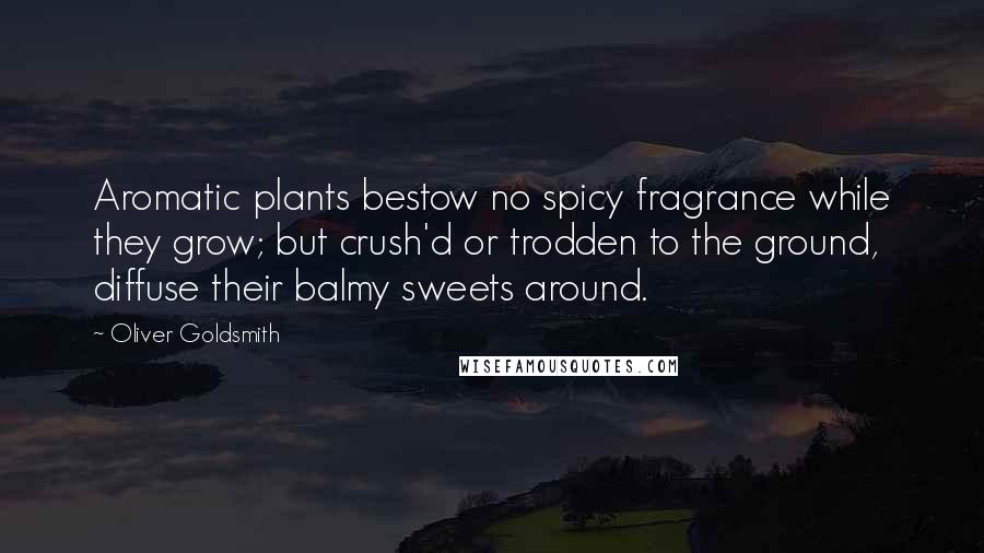Oliver Goldsmith Quotes: Aromatic plants bestow no spicy fragrance while they grow; but crush'd or trodden to the ground, diffuse their balmy sweets around.