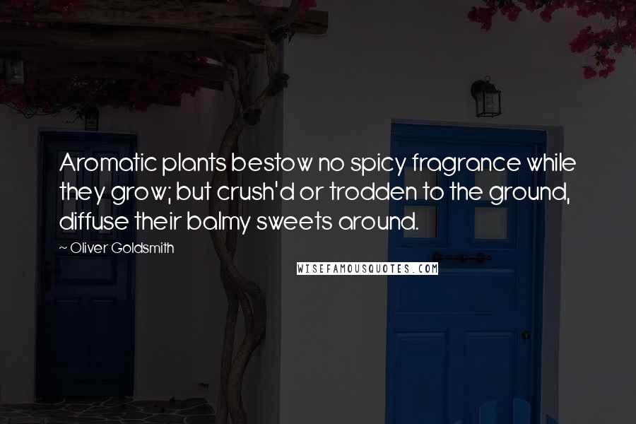 Oliver Goldsmith Quotes: Aromatic plants bestow no spicy fragrance while they grow; but crush'd or trodden to the ground, diffuse their balmy sweets around.