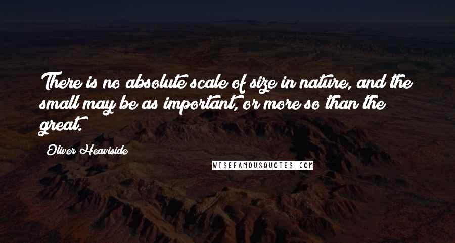 Oliver Heaviside Quotes: There is no absolute scale of size in nature, and the small may be as important, or more so than the great.