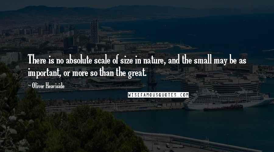 Oliver Heaviside Quotes: There is no absolute scale of size in nature, and the small may be as important, or more so than the great.