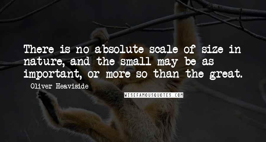 Oliver Heaviside Quotes: There is no absolute scale of size in nature, and the small may be as important, or more so than the great.