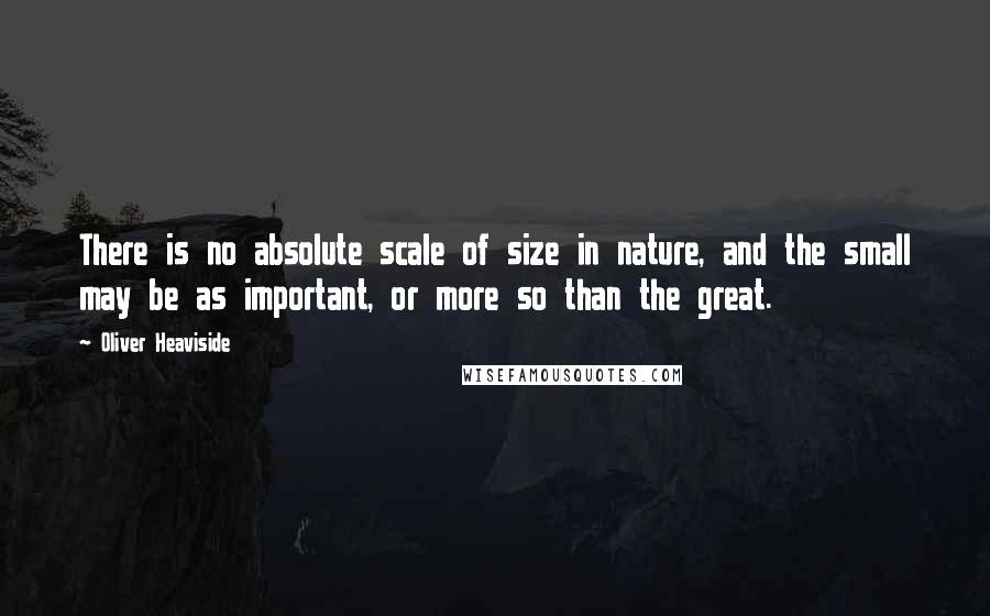 Oliver Heaviside Quotes: There is no absolute scale of size in nature, and the small may be as important, or more so than the great.