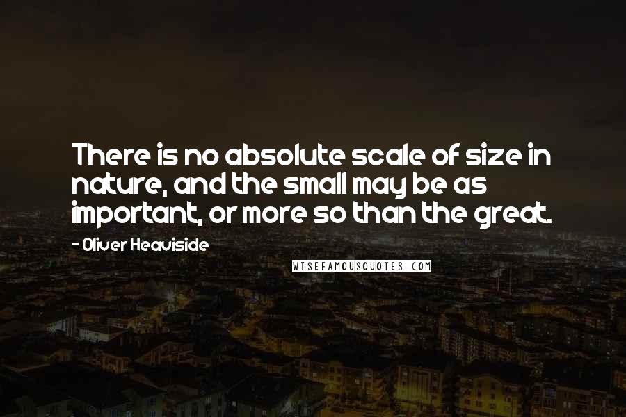 Oliver Heaviside Quotes: There is no absolute scale of size in nature, and the small may be as important, or more so than the great.