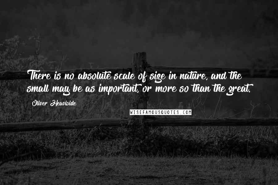 Oliver Heaviside Quotes: There is no absolute scale of size in nature, and the small may be as important, or more so than the great.