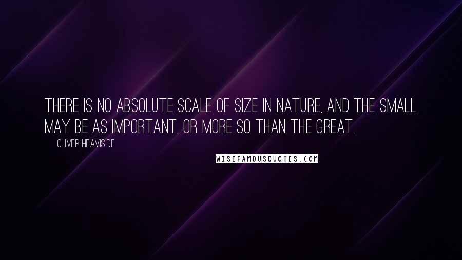 Oliver Heaviside Quotes: There is no absolute scale of size in nature, and the small may be as important, or more so than the great.