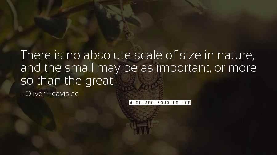 Oliver Heaviside Quotes: There is no absolute scale of size in nature, and the small may be as important, or more so than the great.