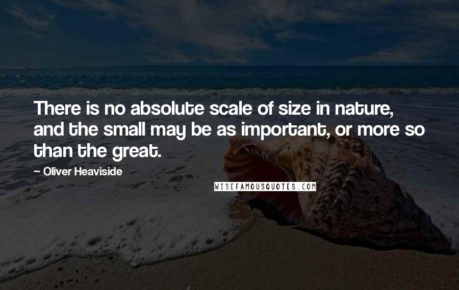 Oliver Heaviside Quotes: There is no absolute scale of size in nature, and the small may be as important, or more so than the great.