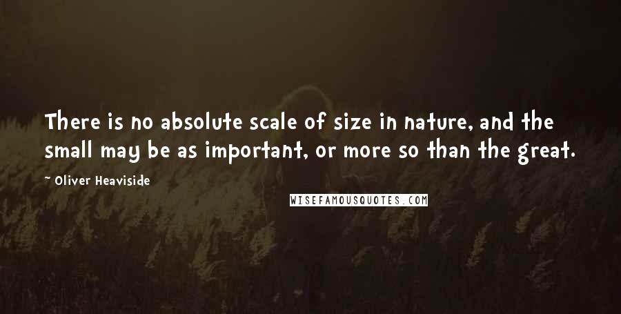 Oliver Heaviside Quotes: There is no absolute scale of size in nature, and the small may be as important, or more so than the great.