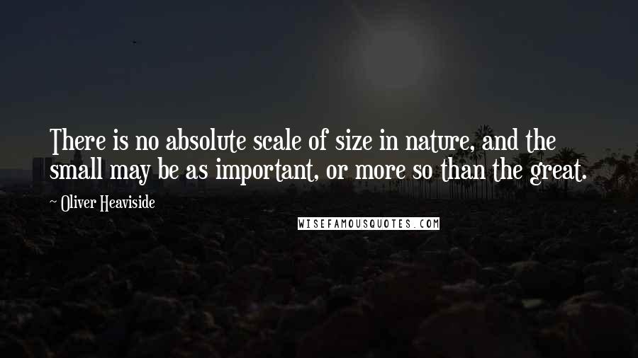 Oliver Heaviside Quotes: There is no absolute scale of size in nature, and the small may be as important, or more so than the great.