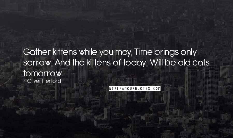 Oliver Herford Quotes: Gather kittens while you may, Time brings only sorrow; And the kittens of today; Will be old cats tomorrow.