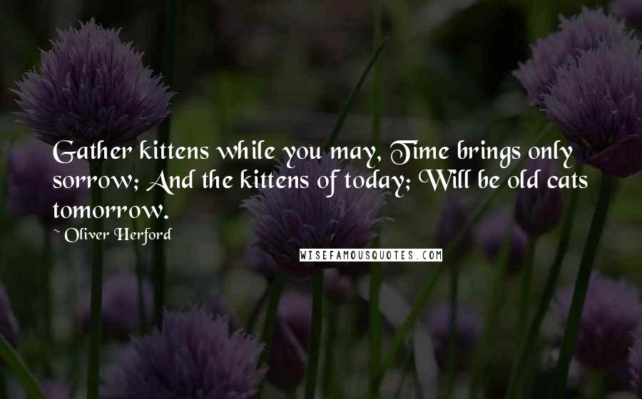 Oliver Herford Quotes: Gather kittens while you may, Time brings only sorrow; And the kittens of today; Will be old cats tomorrow.