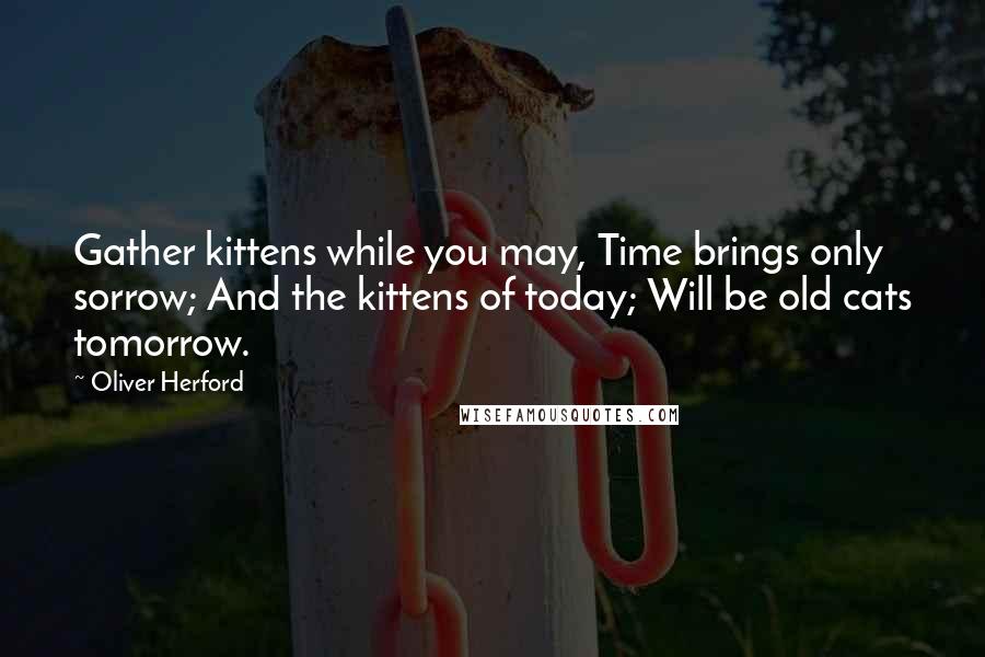 Oliver Herford Quotes: Gather kittens while you may, Time brings only sorrow; And the kittens of today; Will be old cats tomorrow.