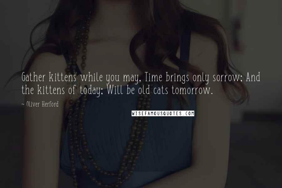 Oliver Herford Quotes: Gather kittens while you may, Time brings only sorrow; And the kittens of today; Will be old cats tomorrow.