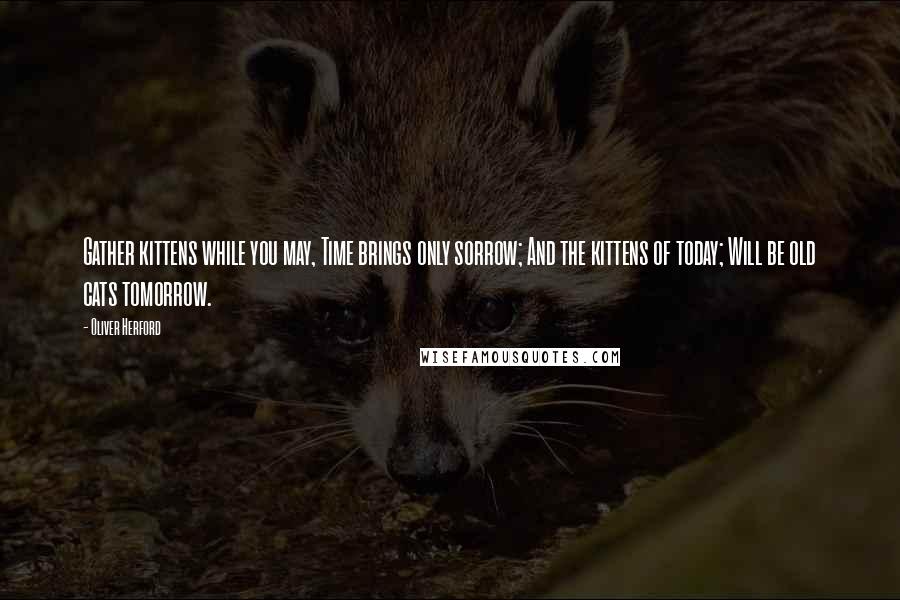 Oliver Herford Quotes: Gather kittens while you may, Time brings only sorrow; And the kittens of today; Will be old cats tomorrow.