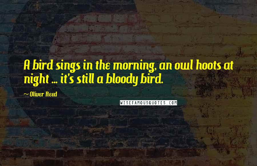 Oliver Reed Quotes: A bird sings in the morning, an owl hoots at night ... it's still a bloody bird.