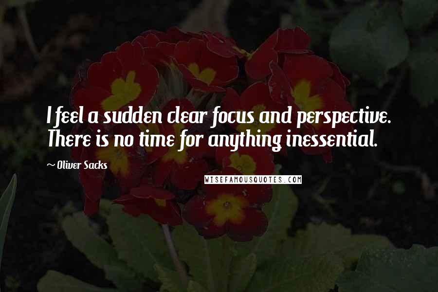 Oliver Sacks Quotes: I feel a sudden clear focus and perspective. There is no time for anything inessential.