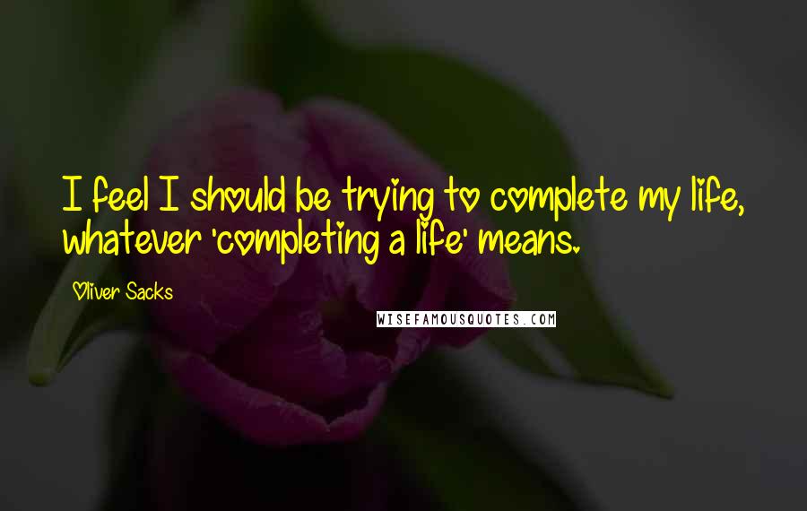 Oliver Sacks Quotes: I feel I should be trying to complete my life, whatever 'completing a life' means.