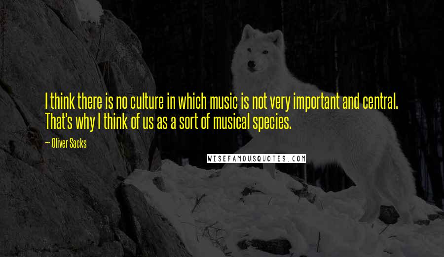 Oliver Sacks Quotes: I think there is no culture in which music is not very important and central. That's why I think of us as a sort of musical species.