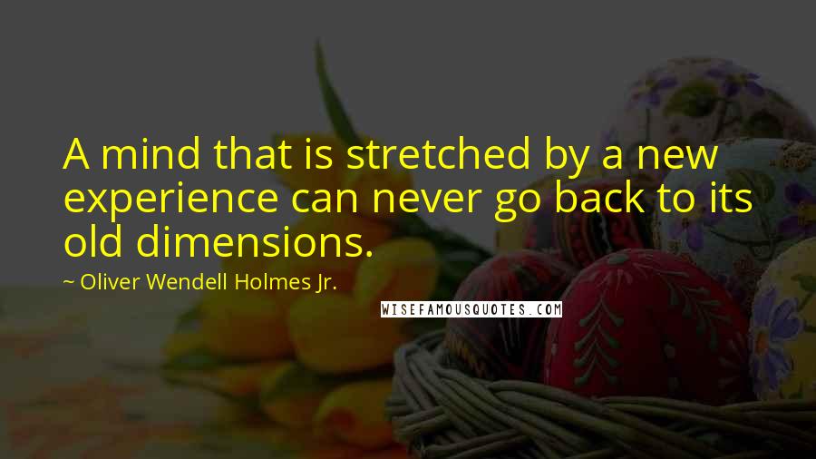 Oliver Wendell Holmes Jr. Quotes: A mind that is stretched by a new experience can never go back to its old dimensions.