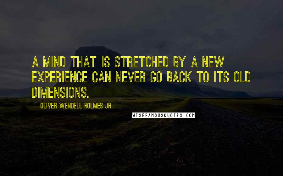 Oliver Wendell Holmes Jr. Quotes: A mind that is stretched by a new experience can never go back to its old dimensions.