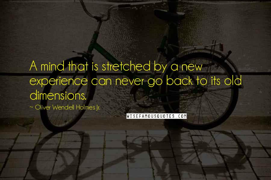 Oliver Wendell Holmes Jr. Quotes: A mind that is stretched by a new experience can never go back to its old dimensions.