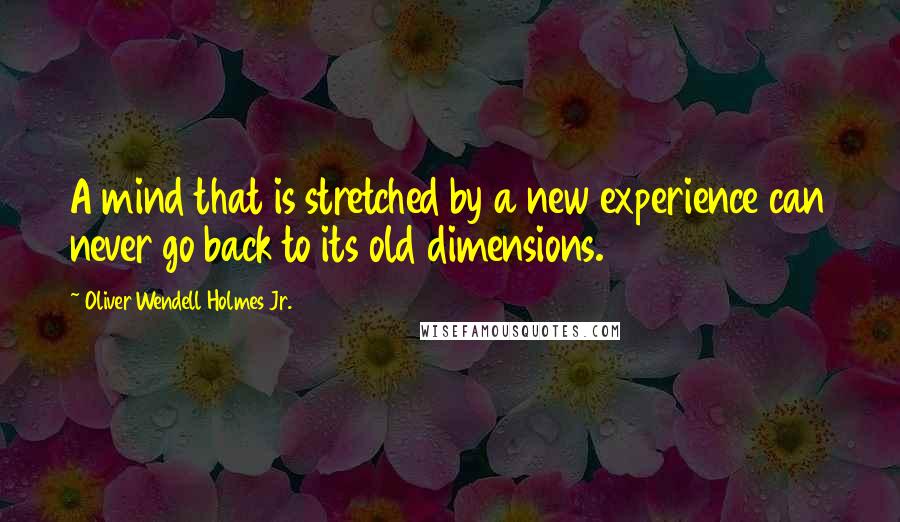 Oliver Wendell Holmes Jr. Quotes: A mind that is stretched by a new experience can never go back to its old dimensions.