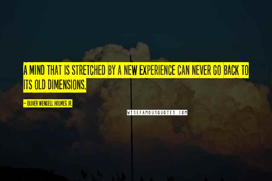 Oliver Wendell Holmes Jr. Quotes: A mind that is stretched by a new experience can never go back to its old dimensions.