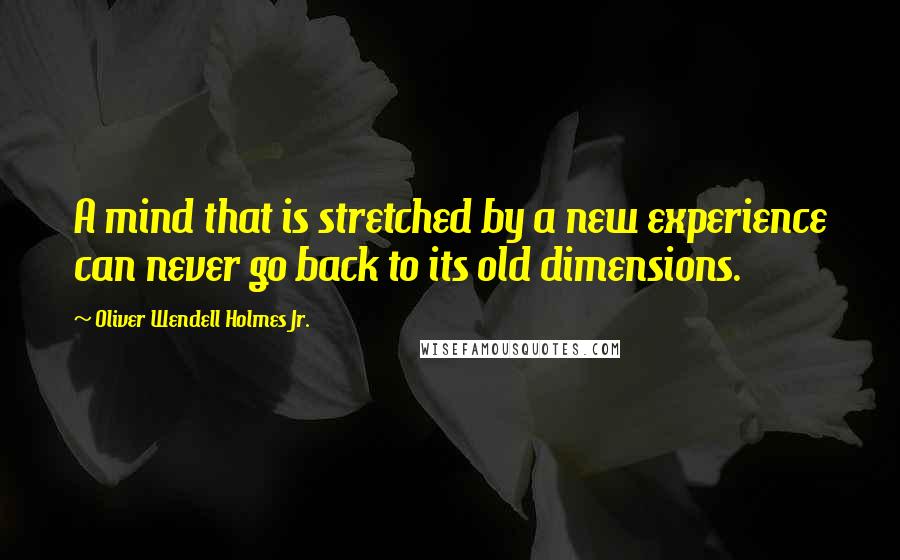 Oliver Wendell Holmes Jr. Quotes: A mind that is stretched by a new experience can never go back to its old dimensions.