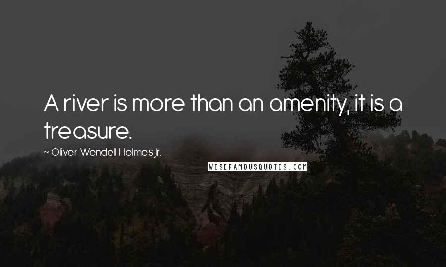 Oliver Wendell Holmes Jr. Quotes: A river is more than an amenity, it is a treasure.