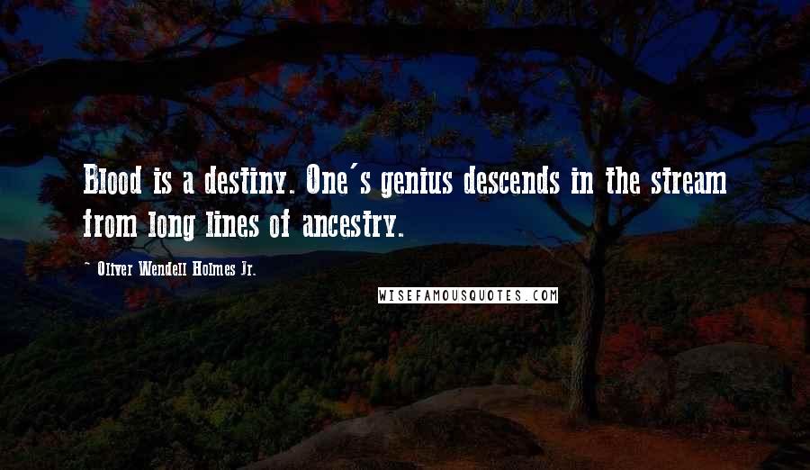 Oliver Wendell Holmes Jr. Quotes: Blood is a destiny. One's genius descends in the stream from long lines of ancestry.