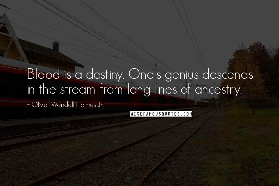 Oliver Wendell Holmes Jr. Quotes: Blood is a destiny. One's genius descends in the stream from long lines of ancestry.