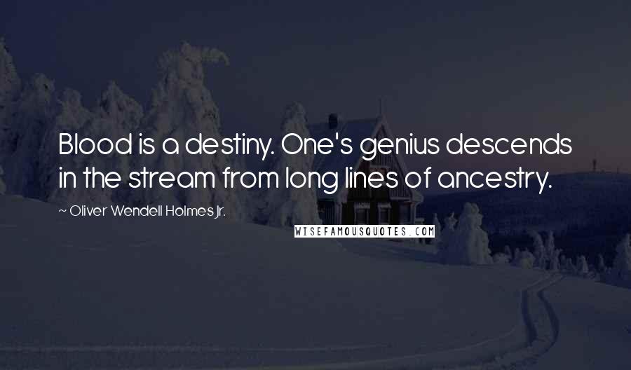 Oliver Wendell Holmes Jr. Quotes: Blood is a destiny. One's genius descends in the stream from long lines of ancestry.