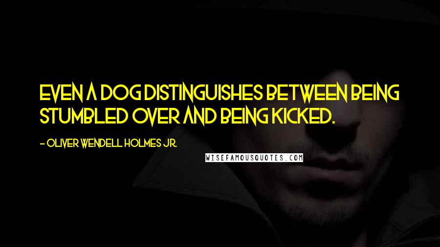 Oliver Wendell Holmes Jr. Quotes: Even a dog distinguishes between being stumbled over and being kicked.