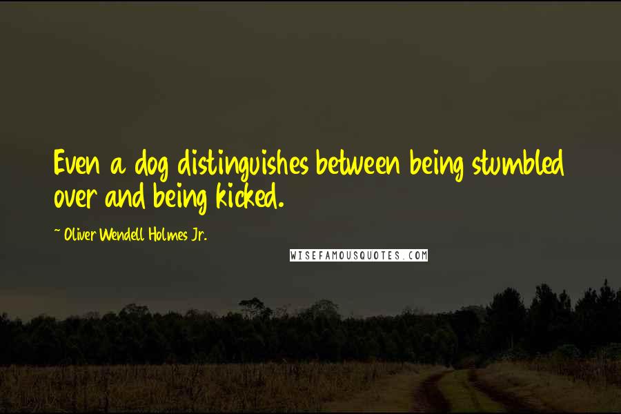 Oliver Wendell Holmes Jr. Quotes: Even a dog distinguishes between being stumbled over and being kicked.