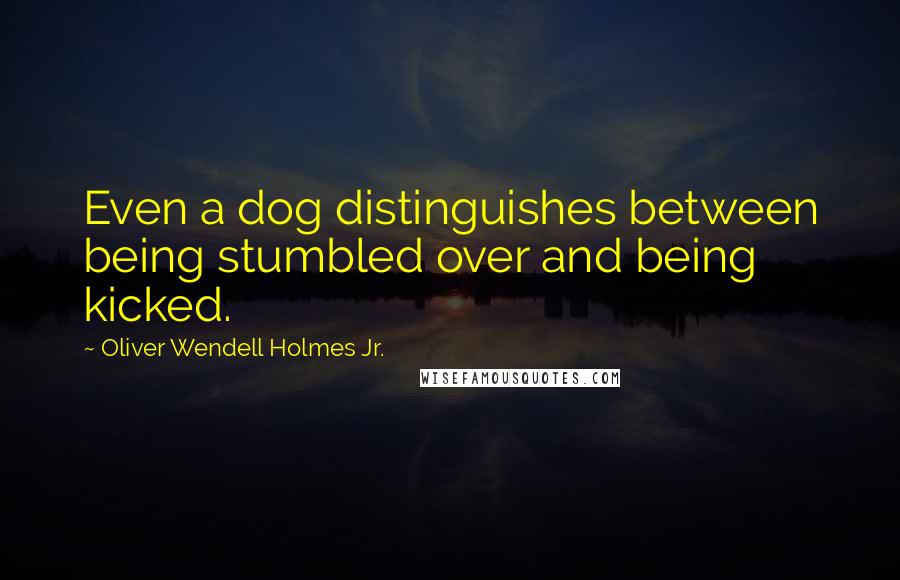 Oliver Wendell Holmes Jr. Quotes: Even a dog distinguishes between being stumbled over and being kicked.
