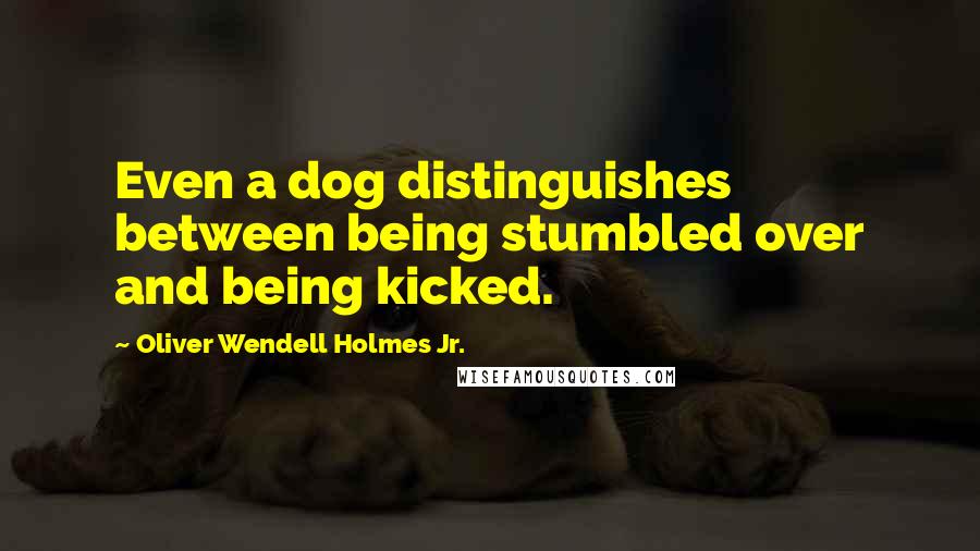 Oliver Wendell Holmes Jr. Quotes: Even a dog distinguishes between being stumbled over and being kicked.