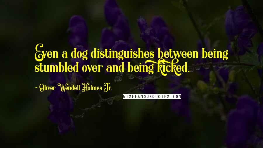 Oliver Wendell Holmes Jr. Quotes: Even a dog distinguishes between being stumbled over and being kicked.