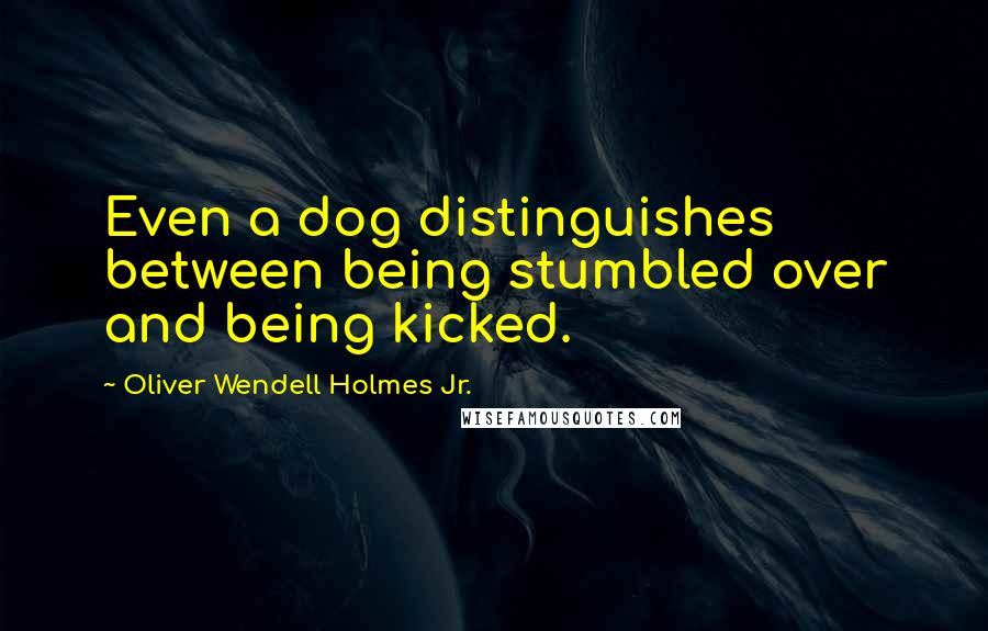 Oliver Wendell Holmes Jr. Quotes: Even a dog distinguishes between being stumbled over and being kicked.