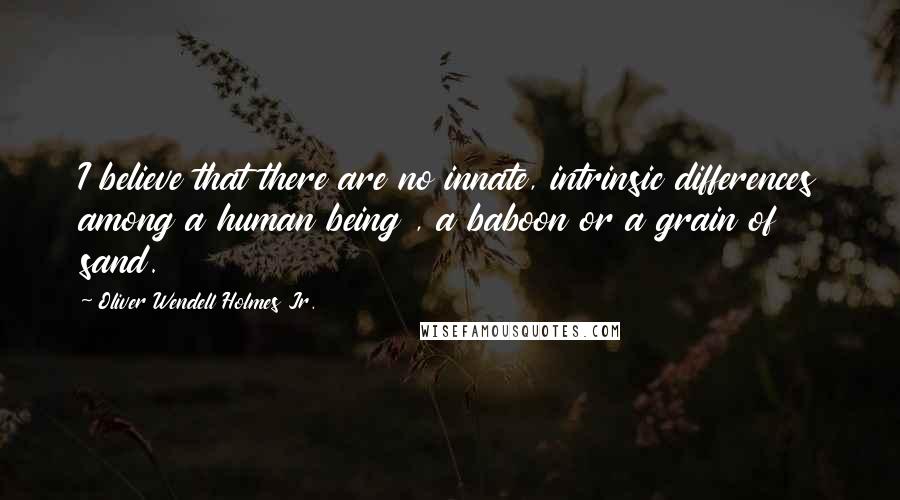 Oliver Wendell Holmes Jr. Quotes: I believe that there are no innate, intrinsic differences among a human being , a baboon or a grain of sand.