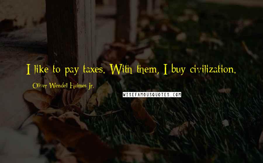 Oliver Wendell Holmes Jr. Quotes: I like to pay taxes. With them, I buy civilization.