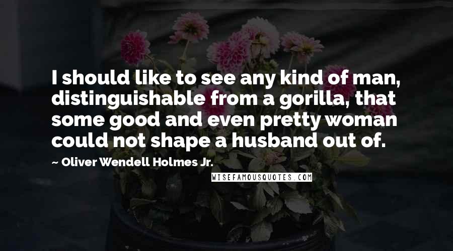 Oliver Wendell Holmes Jr. Quotes: I should like to see any kind of man, distinguishable from a gorilla, that some good and even pretty woman could not shape a husband out of.