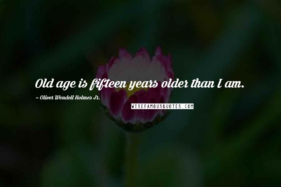 Oliver Wendell Holmes Jr. Quotes: Old age is fifteen years older than I am.