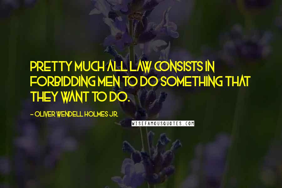 Oliver Wendell Holmes Jr. Quotes: Pretty much all law consists in forbidding men to do something that they want to do.